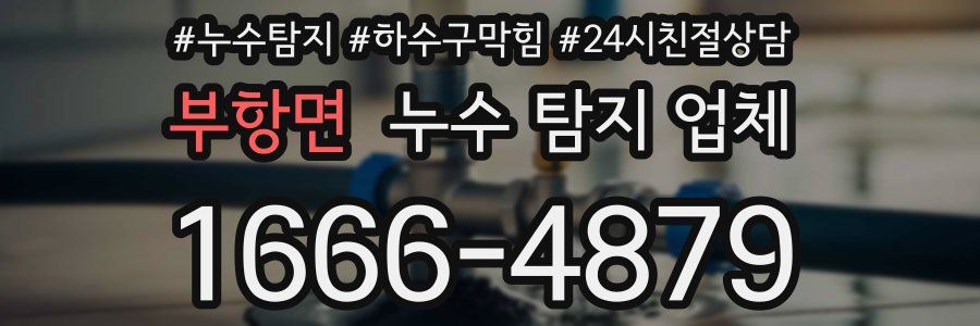 부항면 누수 탐지 업체