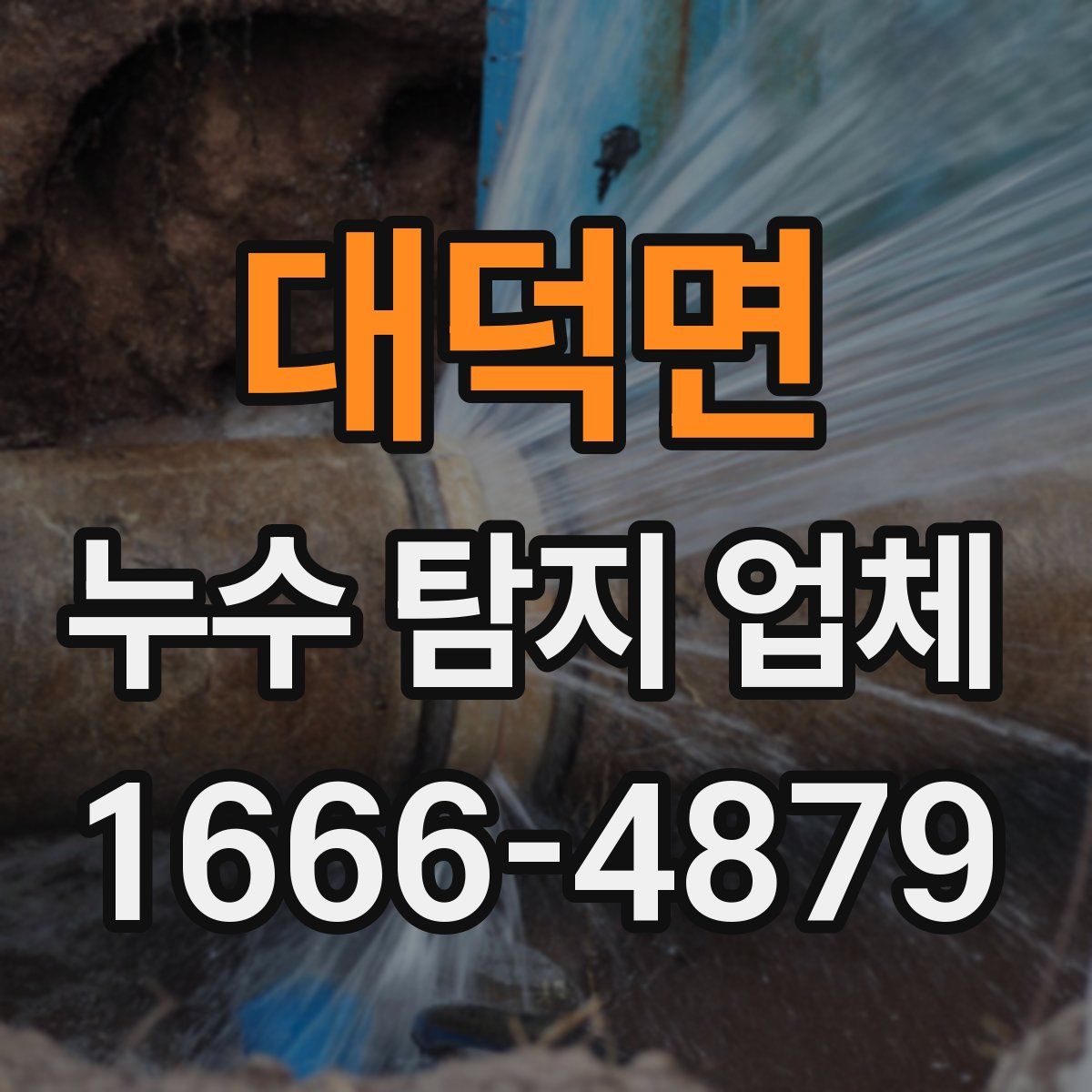 대덕면 누수 탐지 업체