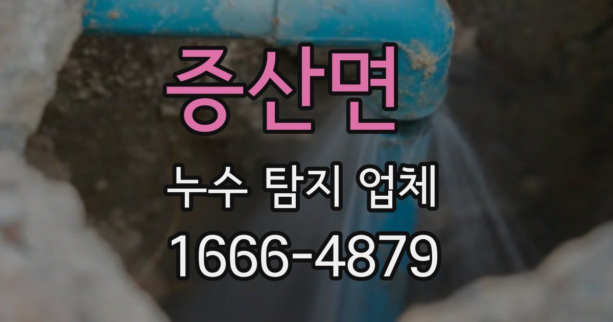 증산면 누수 탐지 업체