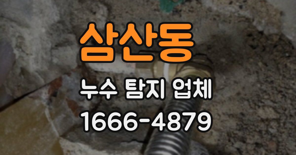 삼산동 누수 탐지 업체
