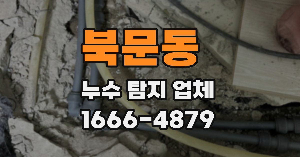 북문동 누수 탐지 업체