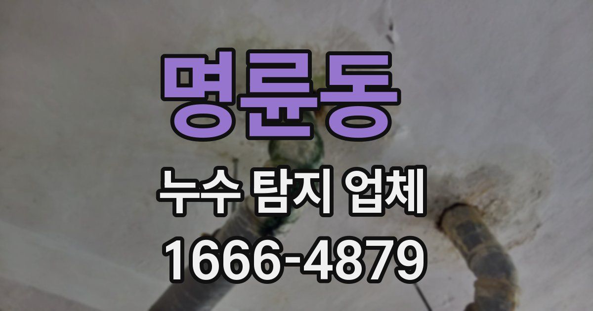 명륜동 누수 탐지 업체