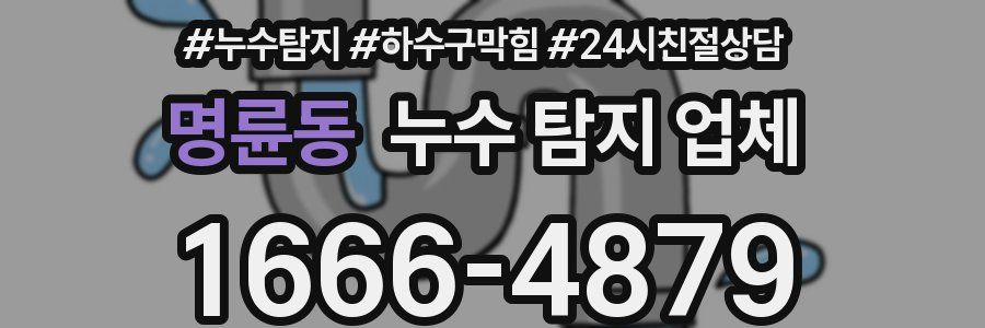 명륜동 누수 탐지 업체
