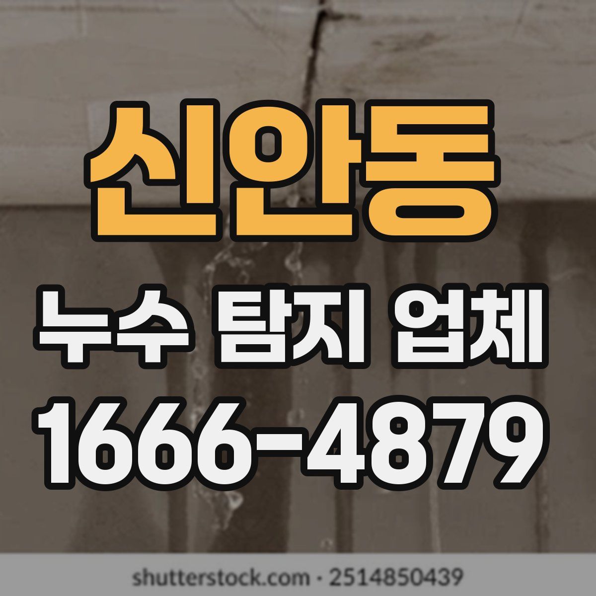 신안동 누수 탐지 업체