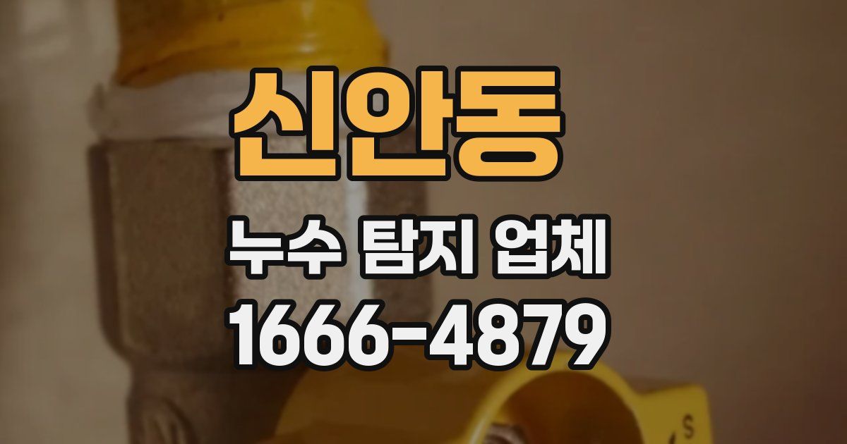 신안동 누수 탐지 업체