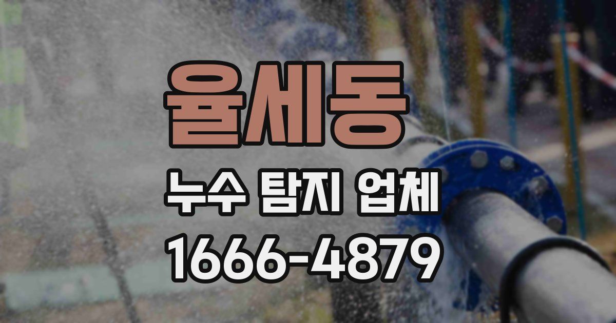율세동 누수 탐지 업체