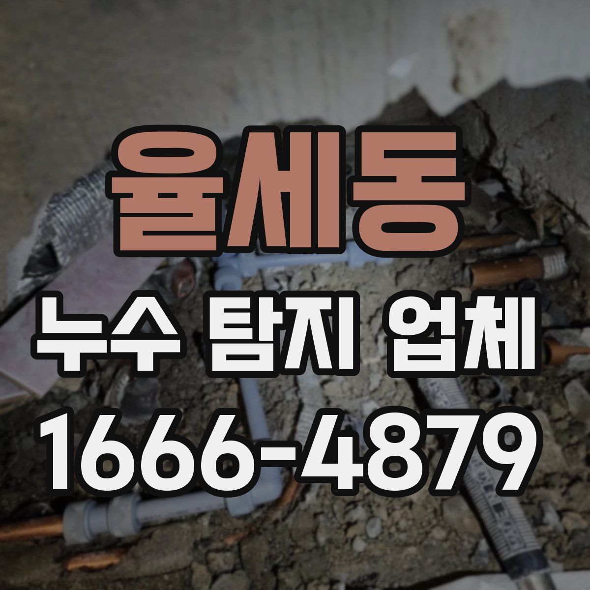 율세동 누수 탐지 업체