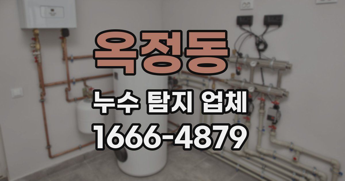 옥정동 누수 탐지 업체