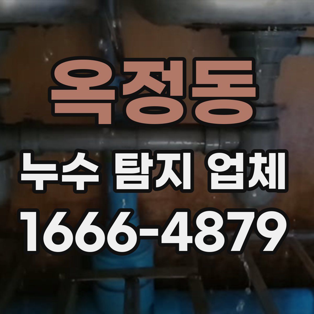 옥정동 누수 탐지 업체