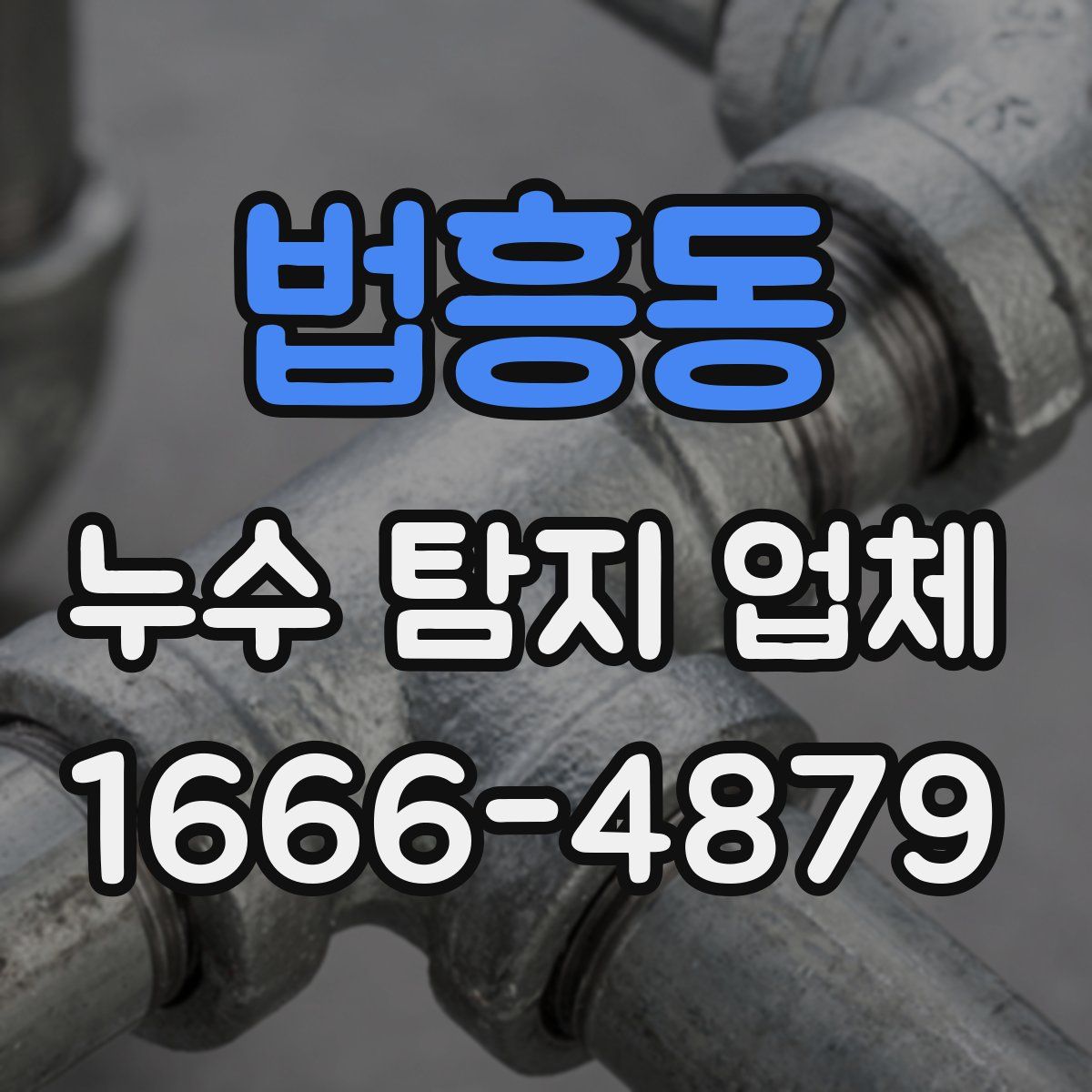 법흥동 누수 탐지 업체