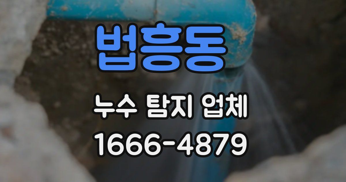 법흥동 누수 탐지 업체
