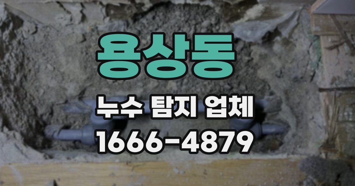 용상동 누수 탐지 업체
