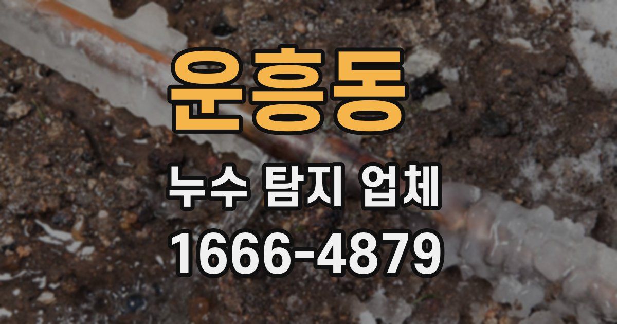 운흥동 누수 탐지 업체