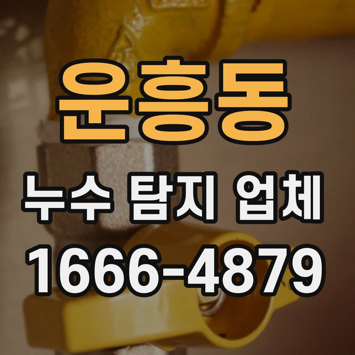 운흥동 누수 탐지 업체