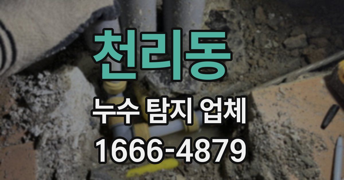 천리동 누수 탐지 업체