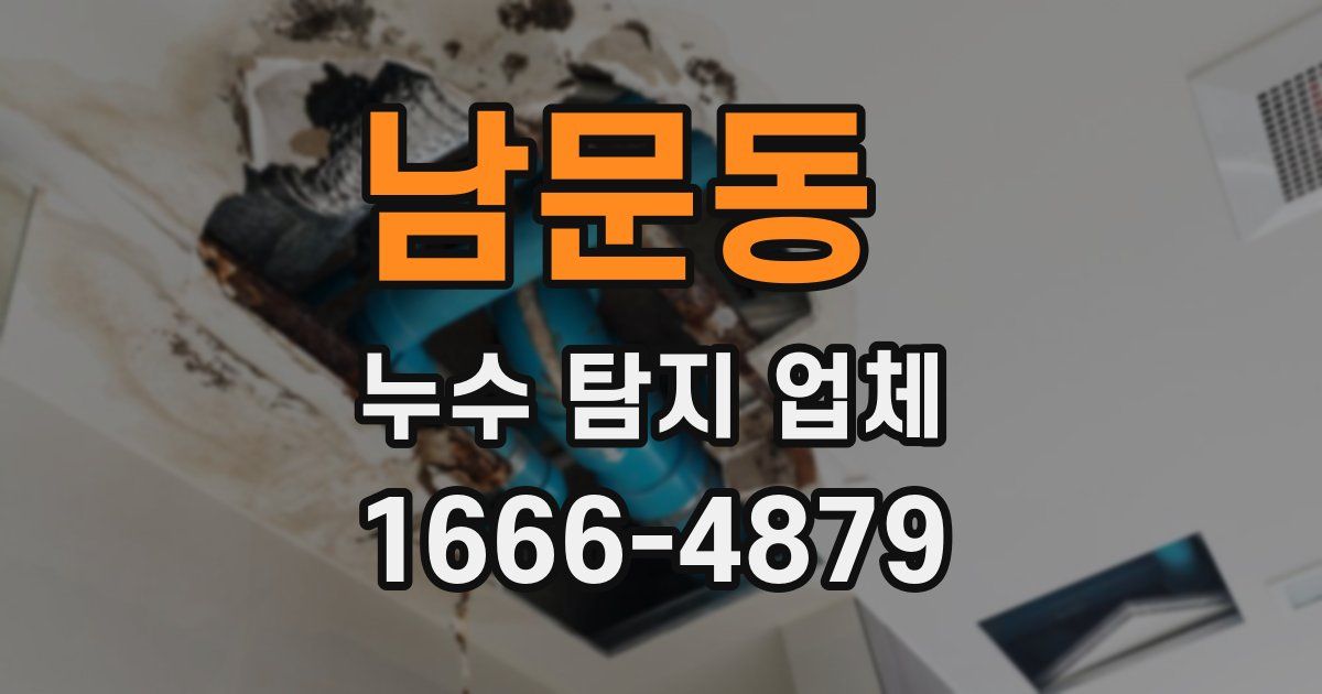 남문동 누수 탐지 업체