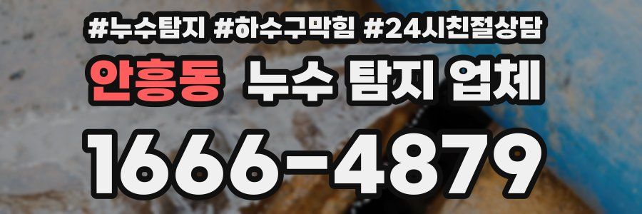 안흥동 누수 탐지 업체