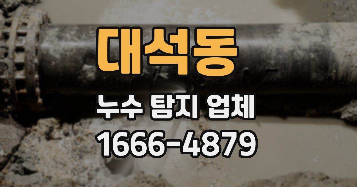 대석동 누수 탐지 업체