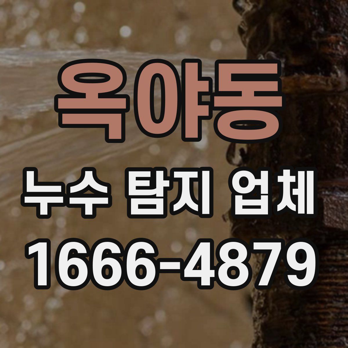 옥야동 누수 탐지 업체