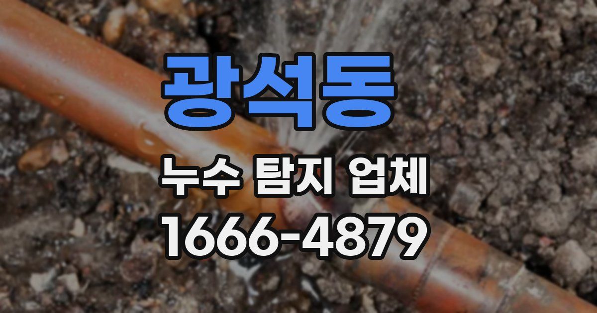 광석동 누수 탐지 업체