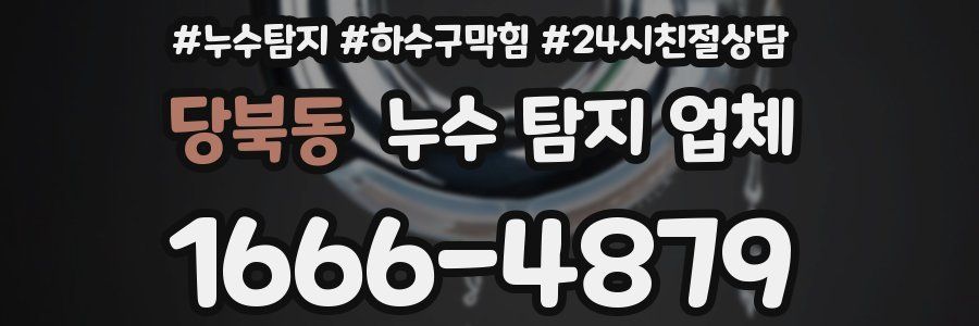 당북동 누수 탐지 업체
