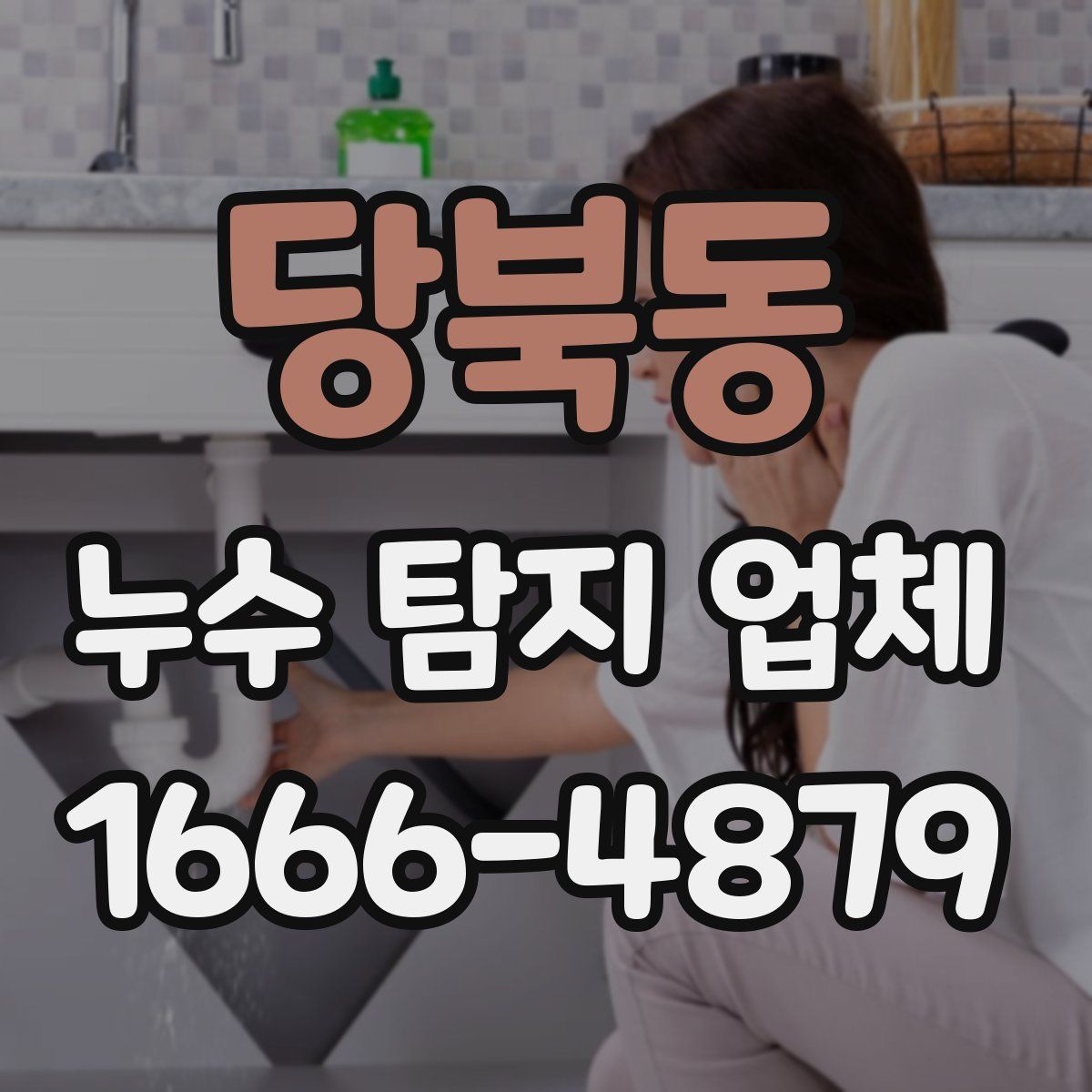 당북동 누수 탐지 업체