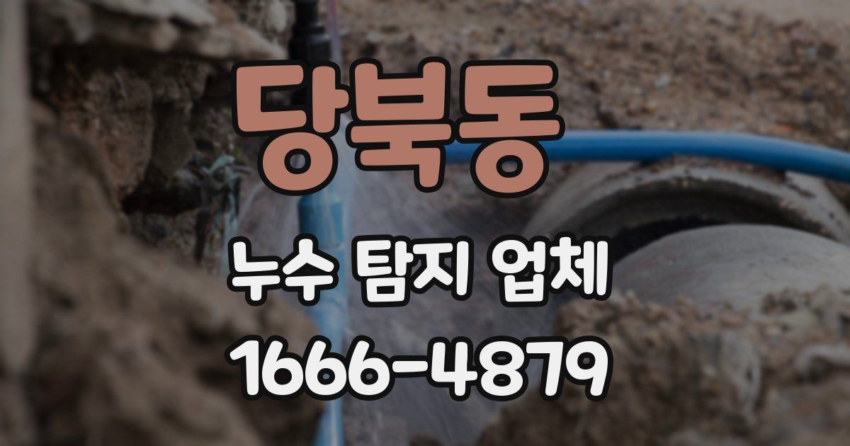 당북동 누수 탐지 업체
