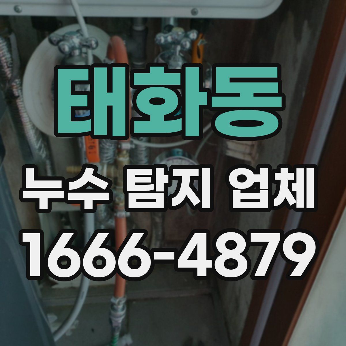 태화동 누수 탐지 업체