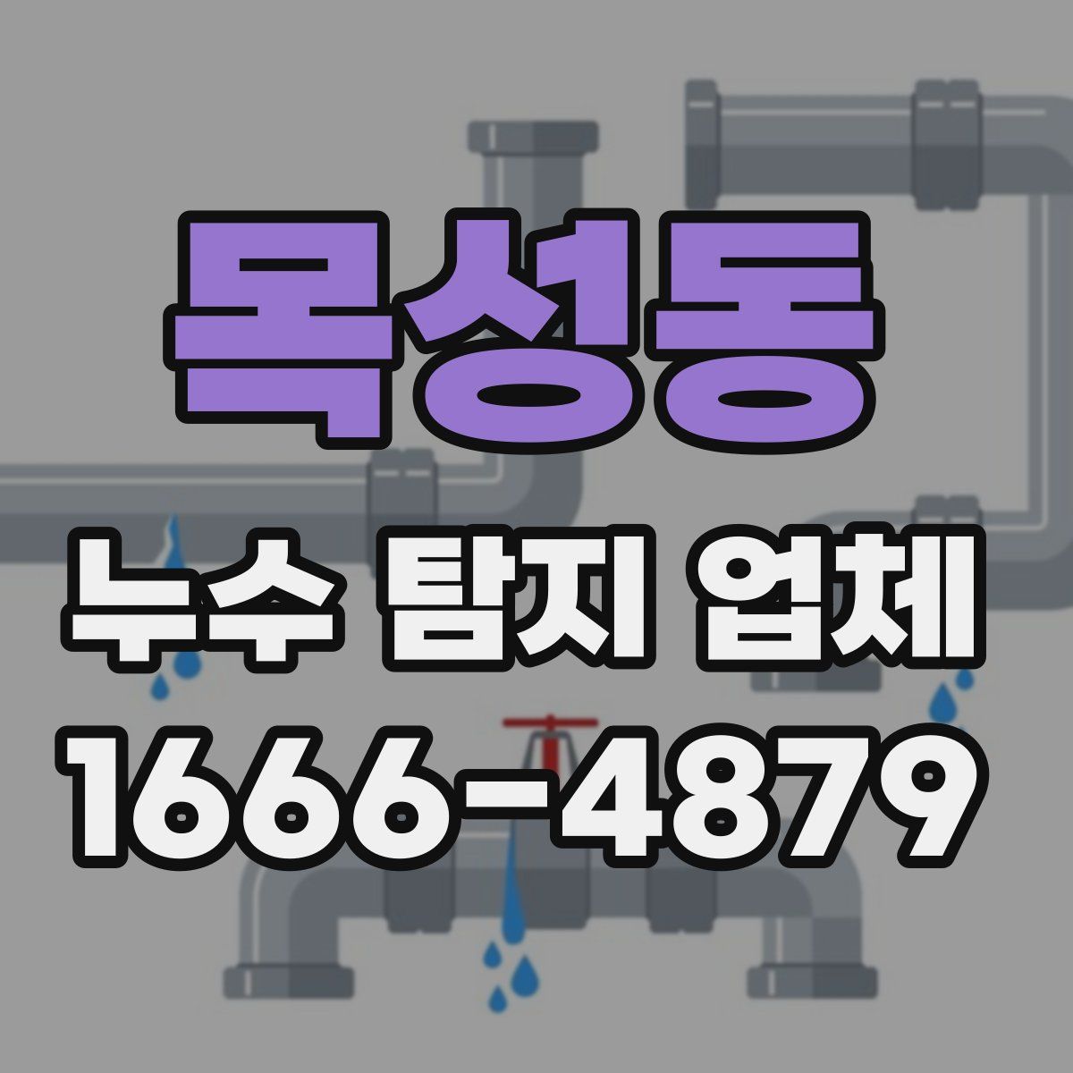 목성동 누수 탐지 업체