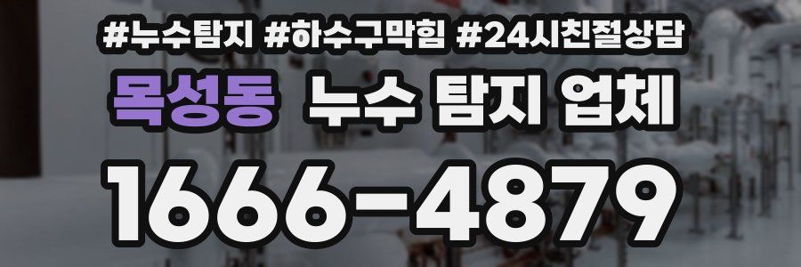 목성동 누수 탐지 업체