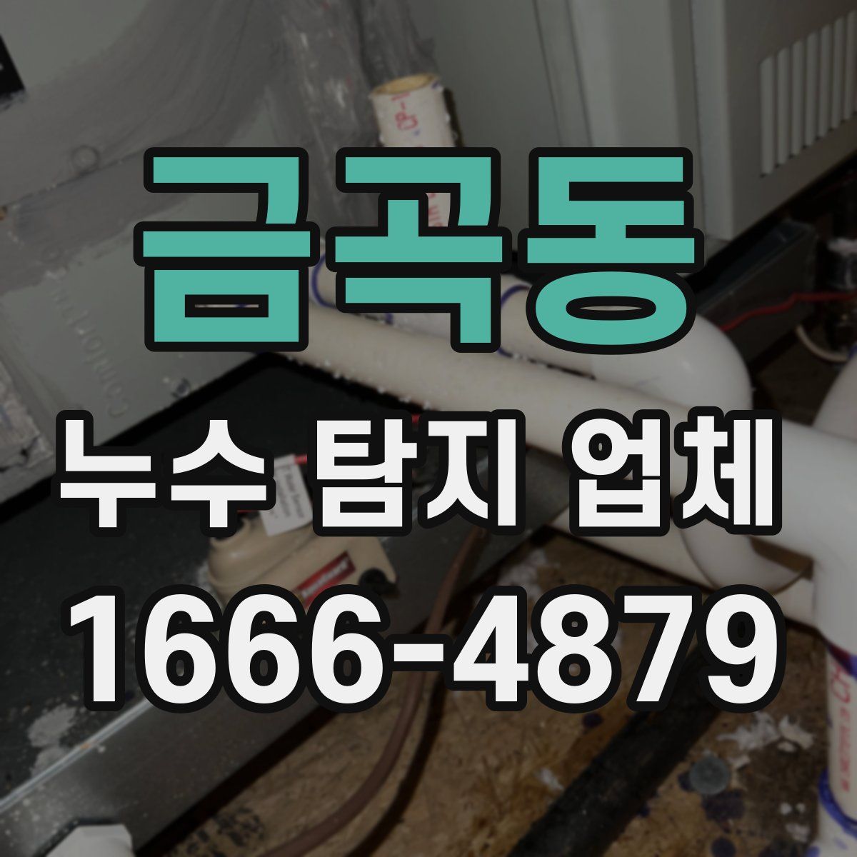 금곡동 누수 탐지 업체