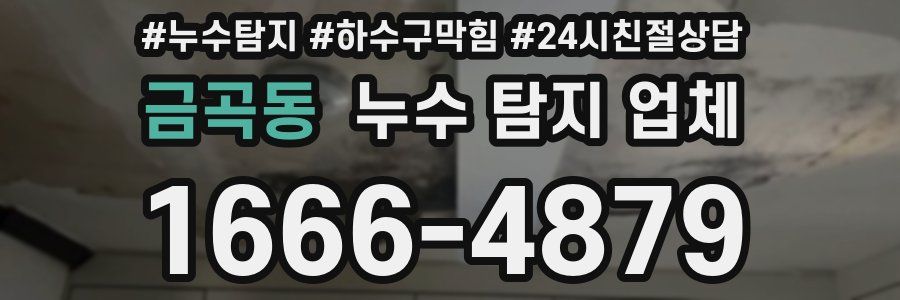 금곡동 누수 탐지 업체