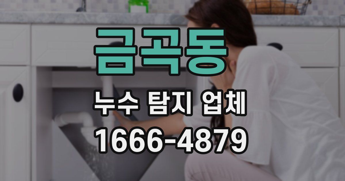 금곡동 누수 탐지 업체