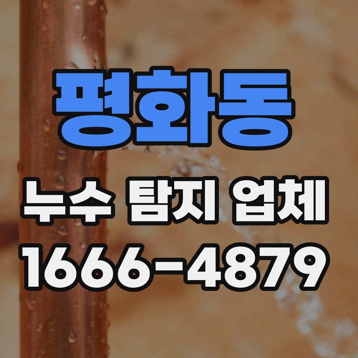 평화동 누수 탐지 업체