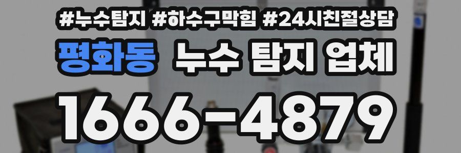 평화동 누수 탐지 업체