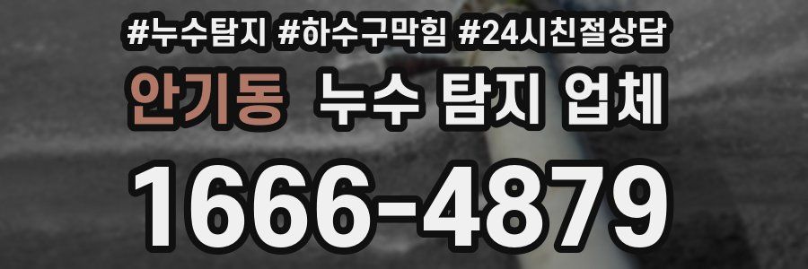 안기동 누수 탐지 업체