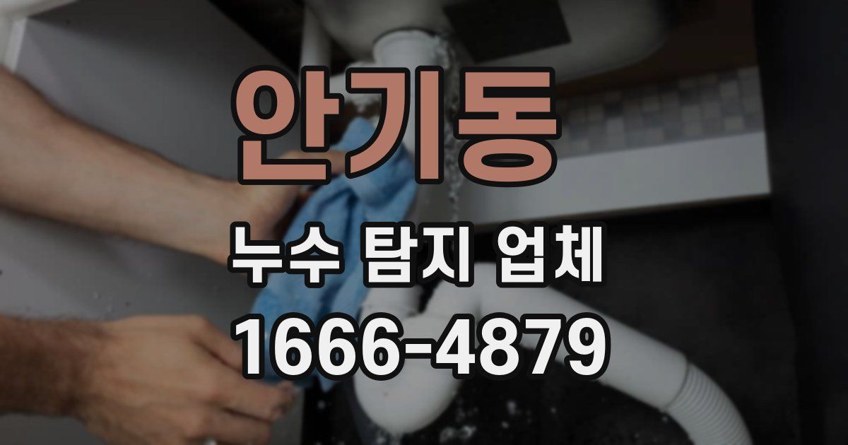 안기동 누수 탐지 업체