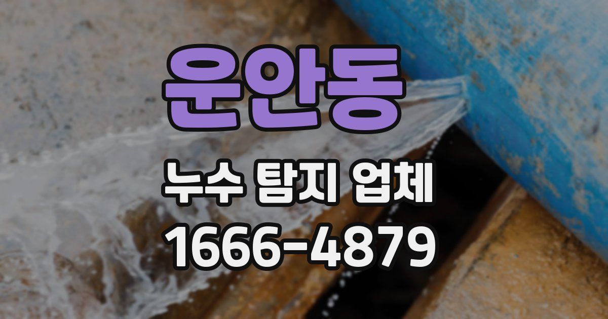 운안동 누수 탐지 업체