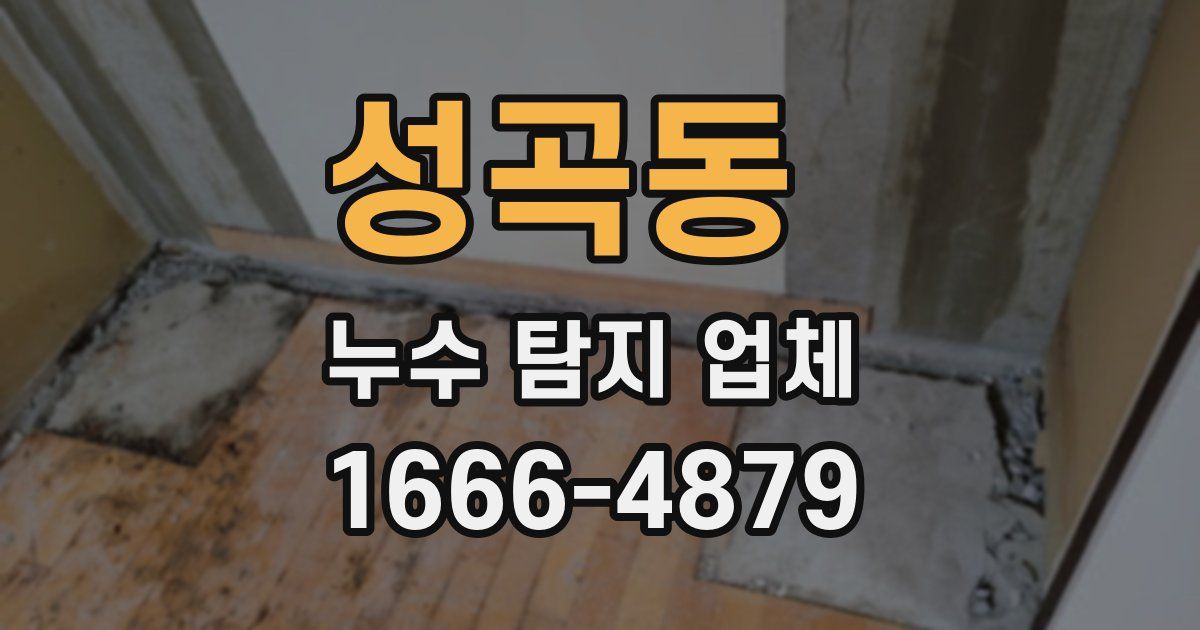 성곡동 누수 탐지 업체