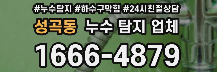 성곡동 누수 탐지 업체