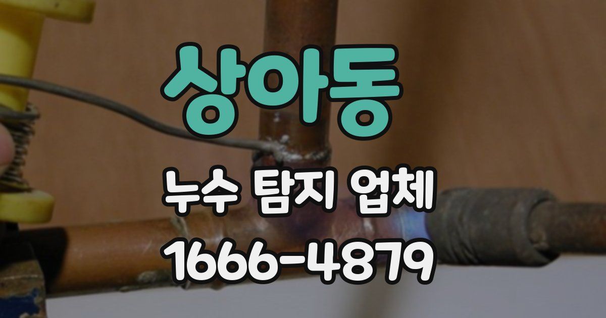 상아동 누수 탐지 업체