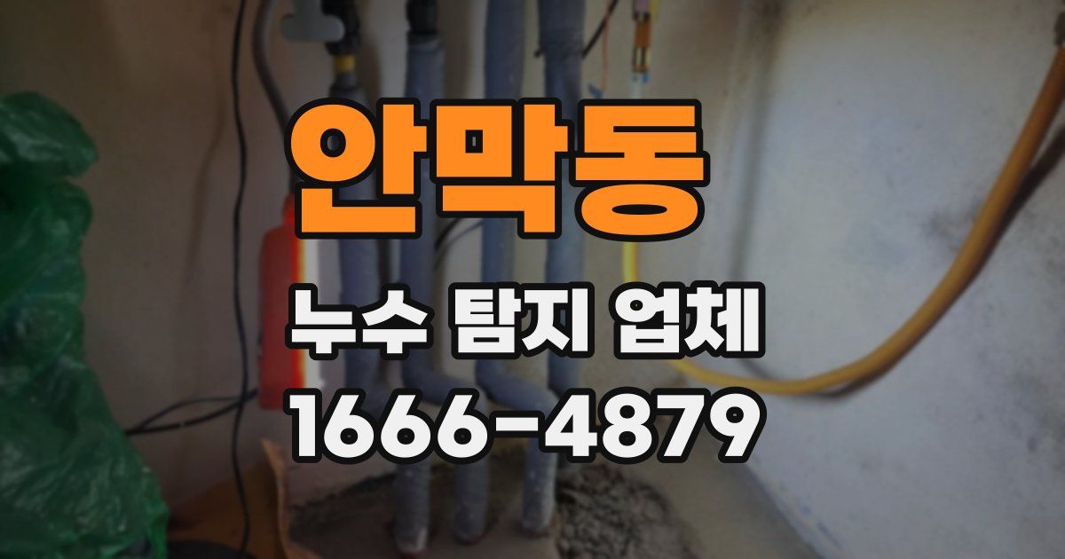 안막동 누수 탐지 업체