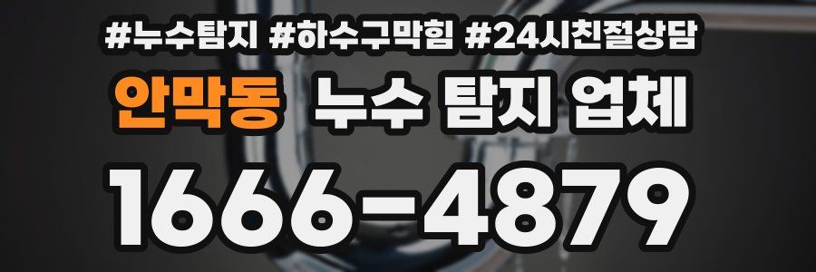 안막동 누수 탐지 업체
