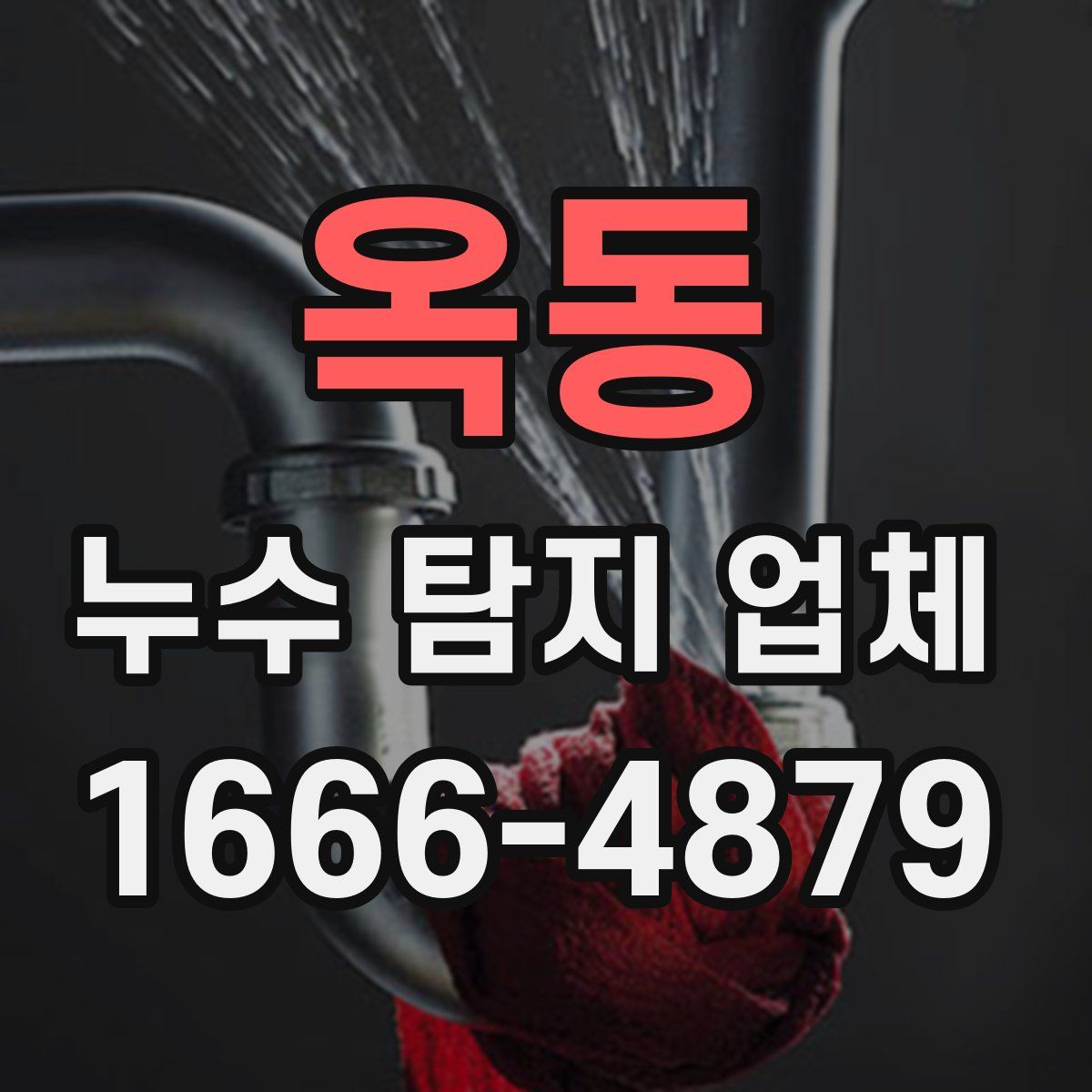 옥동 누수 탐지 업체