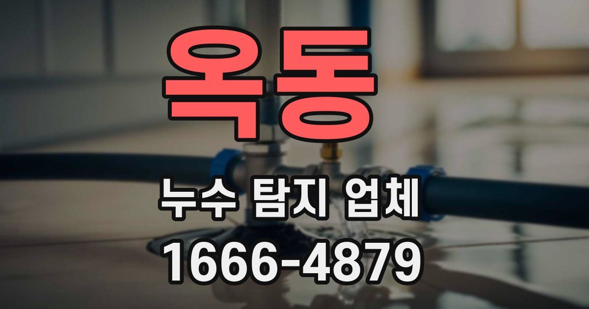 옥동 누수 탐지 업체