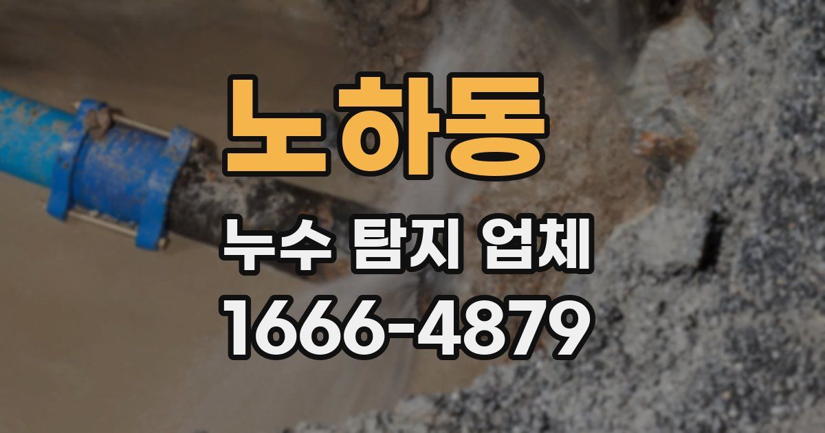 노하동 누수 탐지 업체