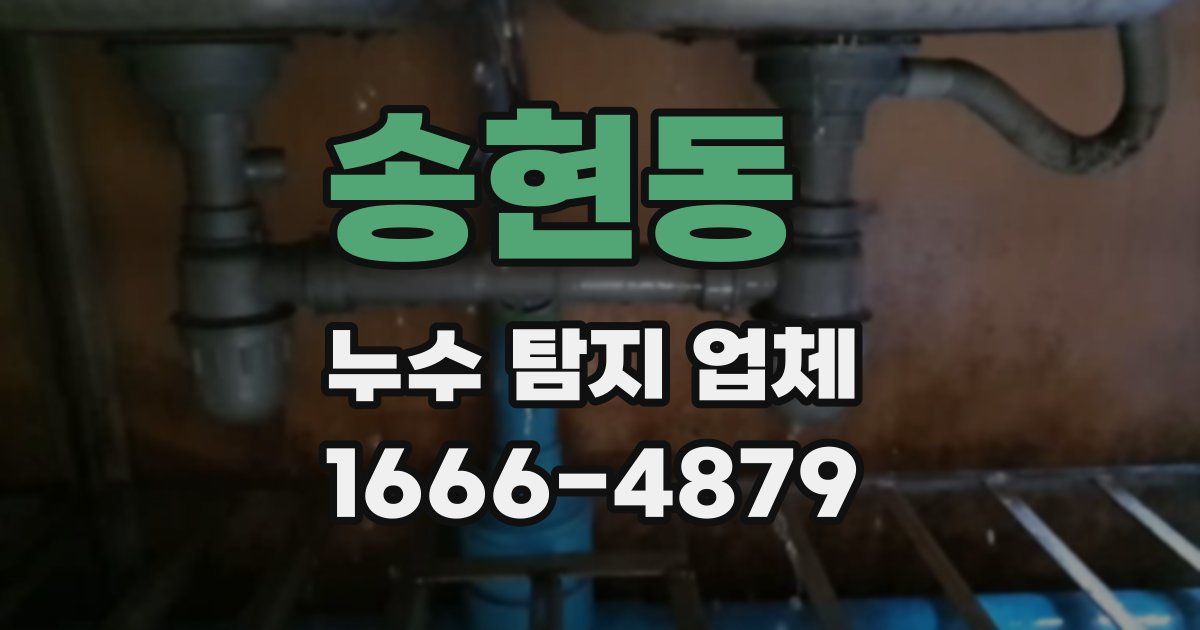 송현동 누수 탐지 업체