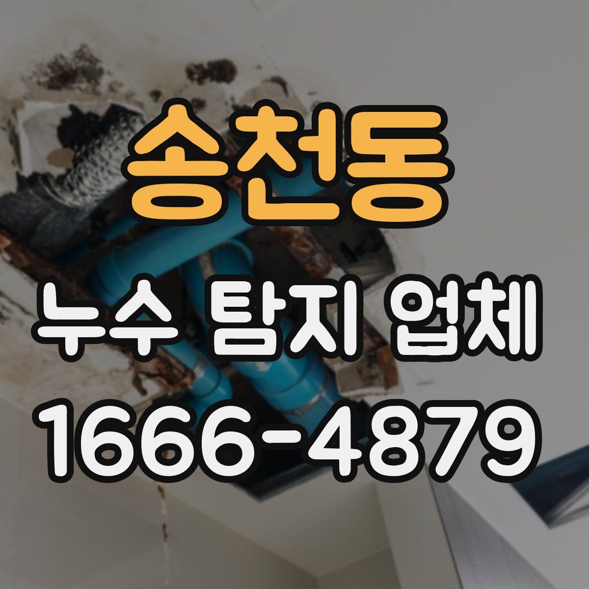 송천동 누수 탐지 업체
