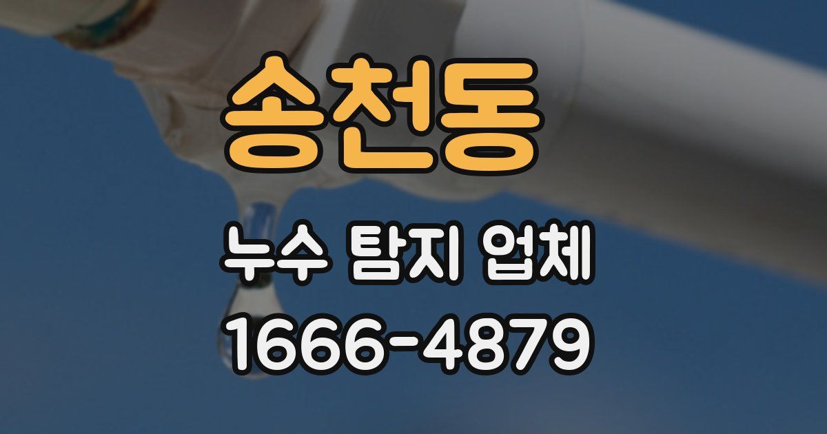 송천동 누수 탐지 업체