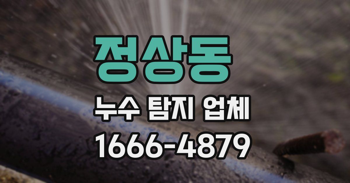 정상동 누수 탐지 업체